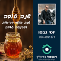 תמונה של 12