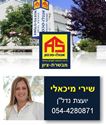 תמונה של שירי מיכאלי - אנגלו סכסון