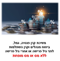 תמונה של הכנסה נטו -  נסיון