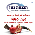 תמונה של הכנסה נטו - החזרי מס וזכויות ביטוח לאומי