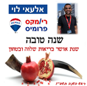 תמונה של אלעאי לוי - רימקס פלטינום