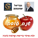 תמונה של גבריאל שמעונוב